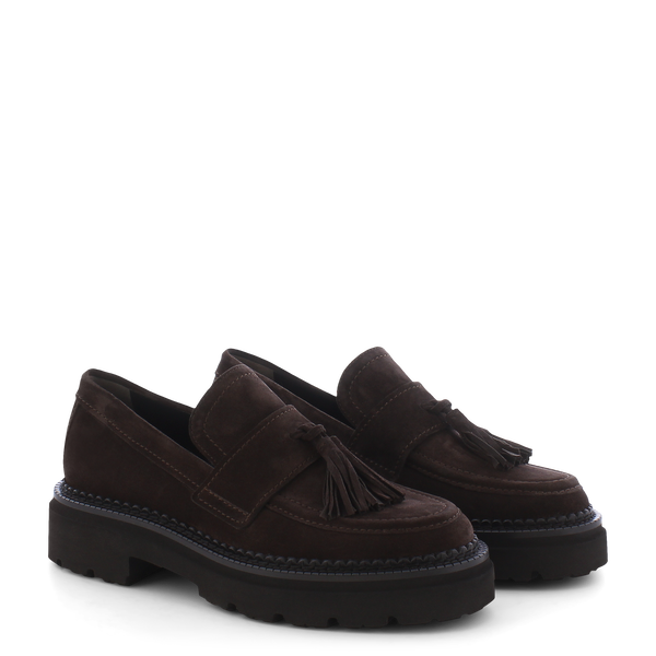 Kennel & Schmenger 61 38200 Pepe