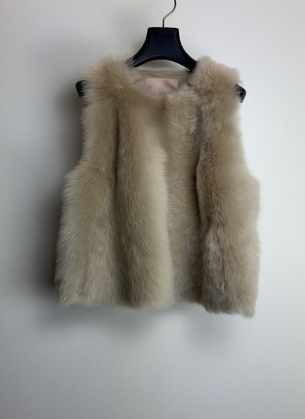 Karl Donoghue TLFSGWS Souffle